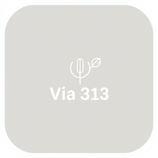 Via 313 - Detroit Style Pizza